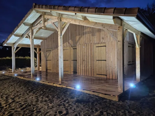 Pergola et abri en bois