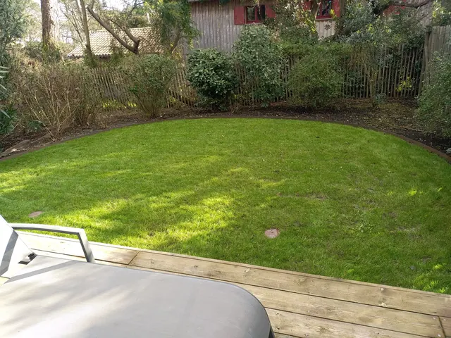 Entretien de jardin