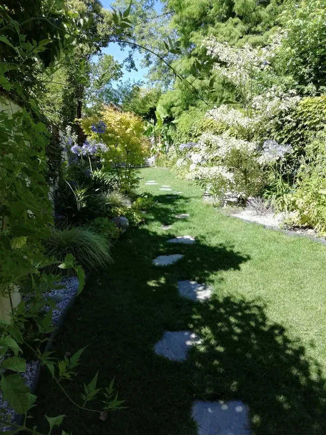 Pas japonais dans un jardin à la végétation généreuse